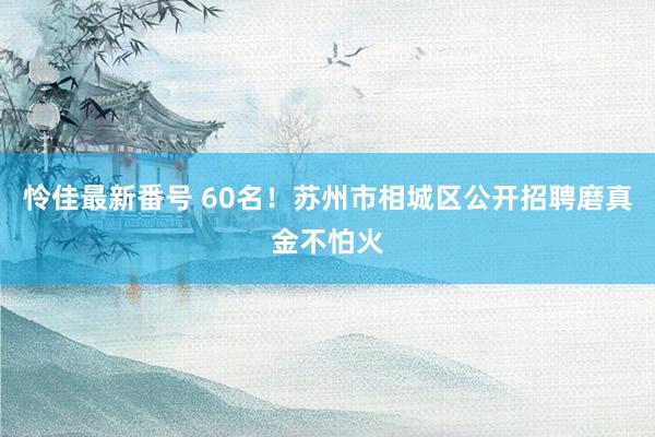 怜佳最新番号 60名！苏州市相城区公开招聘磨真金不怕火