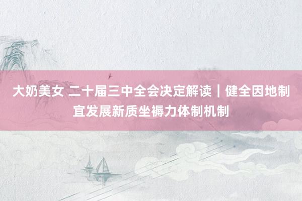 大奶美女 二十届三中全会决定解读｜健全因地制宜发展新质坐褥力体制机制