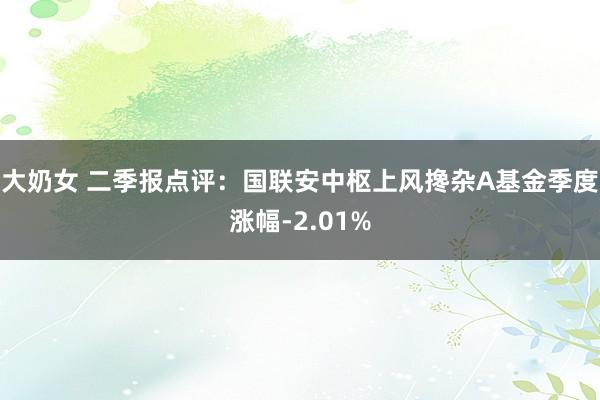 大奶女 二季报点评：国联安中枢上风搀杂A基金季度涨幅-2.01%