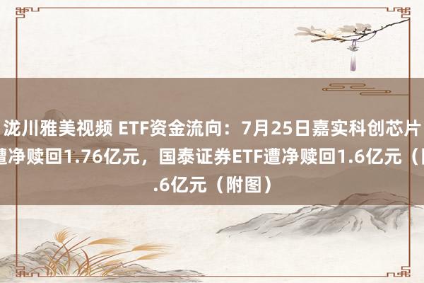 泷川雅美视频 ETF资金流向：7月25日嘉实科创芯片ETF遭净赎回1.76亿元，国泰证券ETF遭净赎回1.6亿元（附图）