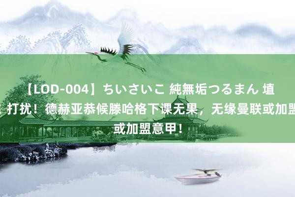 【LOD-004】ちいさいこ 純無垢つるまん 埴生みこ 打扰！德赫亚恭候滕哈格下课无果，无缘曼联或加盟意甲！