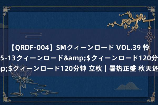 【QRDF-004】SMクィーンロード VOL.39 怜佳</a>2018-05-13クィーンロード&$クィーンロード120分钟 立秋｜暑热正盛 秋天还很远