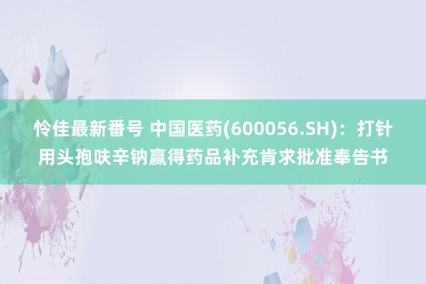 怜佳最新番号 中国医药(600056.SH)：打针用头孢呋辛钠赢得药品补充肯求批准奉告书