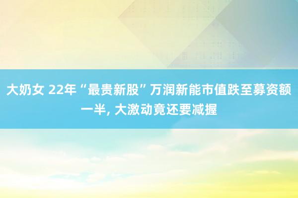 大奶女 22年“最贵新股”万润新能市值跌至募资额一半， 大激动竟还要减握