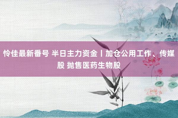 怜佳最新番号 半日主力资金丨加仓公用工作、传媒股 抛售医药生物股