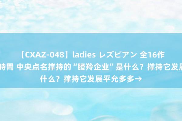 【CXAZ-048】ladies レズビアン 全16作品 PartIV 4時間 中央点名撑持的“瞪羚企业”是什么？撑持它发展平允多多→