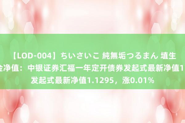 【LOD-004】ちいさいこ 純無垢つるまん 埴生みこ 8月16日基金净值：中银证券汇福一年定开债券发起式最新净值1.1295，涨0.01%