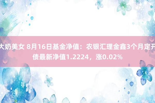 大奶美女 8月16日基金净值：农银汇理金鑫3个月定开债最新净值1.2224，涨0.02%