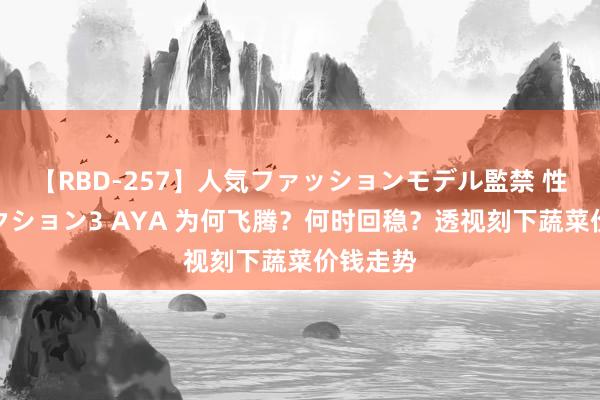 【RBD-257】人気ファッションモデル監禁 性虐コレクション3 AYA 为何飞腾？何时回稳？透视刻下蔬菜价钱走势