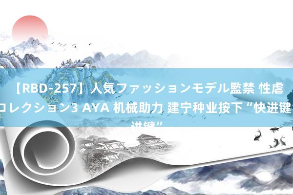 【RBD-257】人気ファッションモデル監禁 性虐コレクション3 AYA 机械助力 建宁种业按下“快进键”