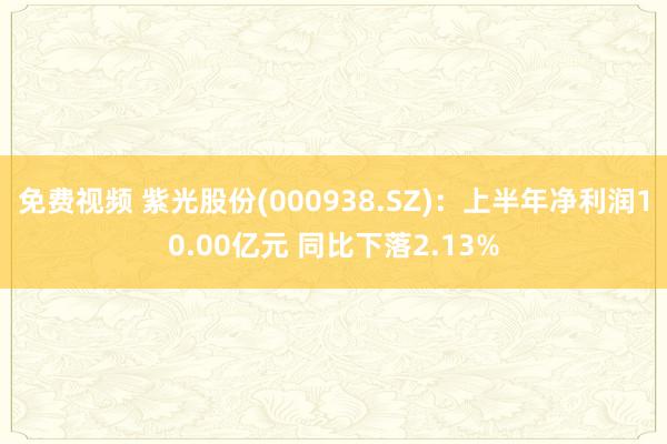 免费视频 紫光股份(000938.SZ)：上半年净利润10.00亿元 同比下落2.13%