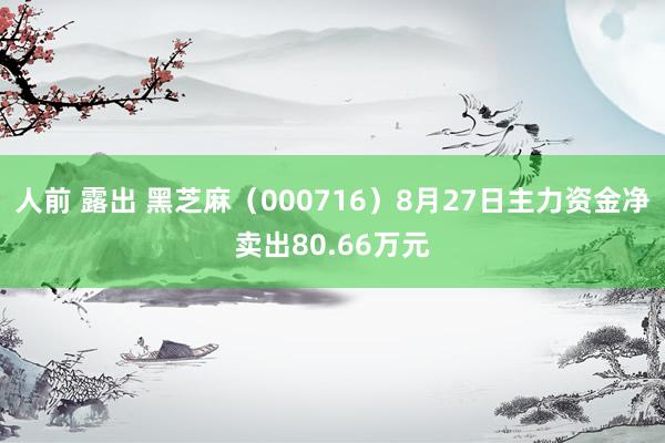 人前 露出 黑芝麻（000716）8月27日主力资金净卖出80.66万元