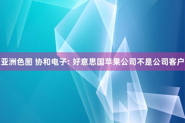 亚洲色图 协和电子: 好意思国苹果公司不是公司客户