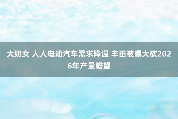 大奶女 人人电动汽车需求降温 丰田被曝大砍2026年产量瞻望