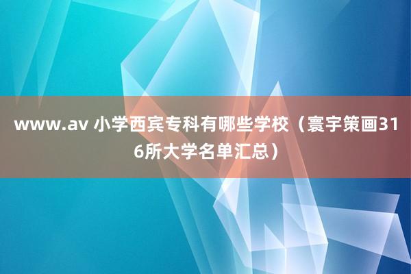 www.av 小学西宾专科有哪些学校（寰宇策画316所大学名单汇总）