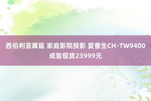 西伯利亚属鼠 家庭影院投影 爱普生CH-TW9400成皆现货23999元