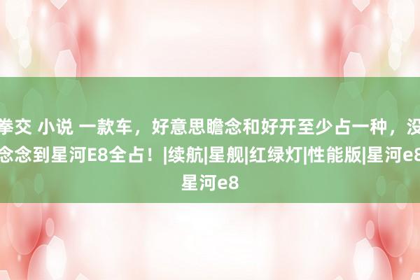 拳交 小说 一款车，好意思瞻念和好开至少占一种，没念念到星河E8全占！|续航|星舰|红绿灯|性能版|星河e8